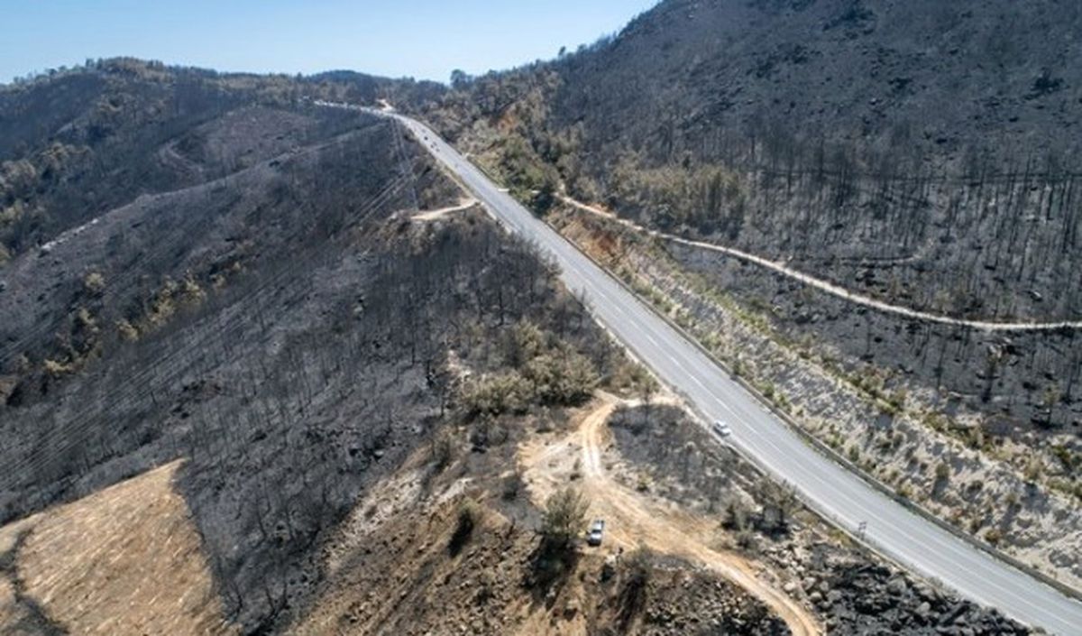 İzmir\'e 1,5 Milyon Fidan Dikilecek