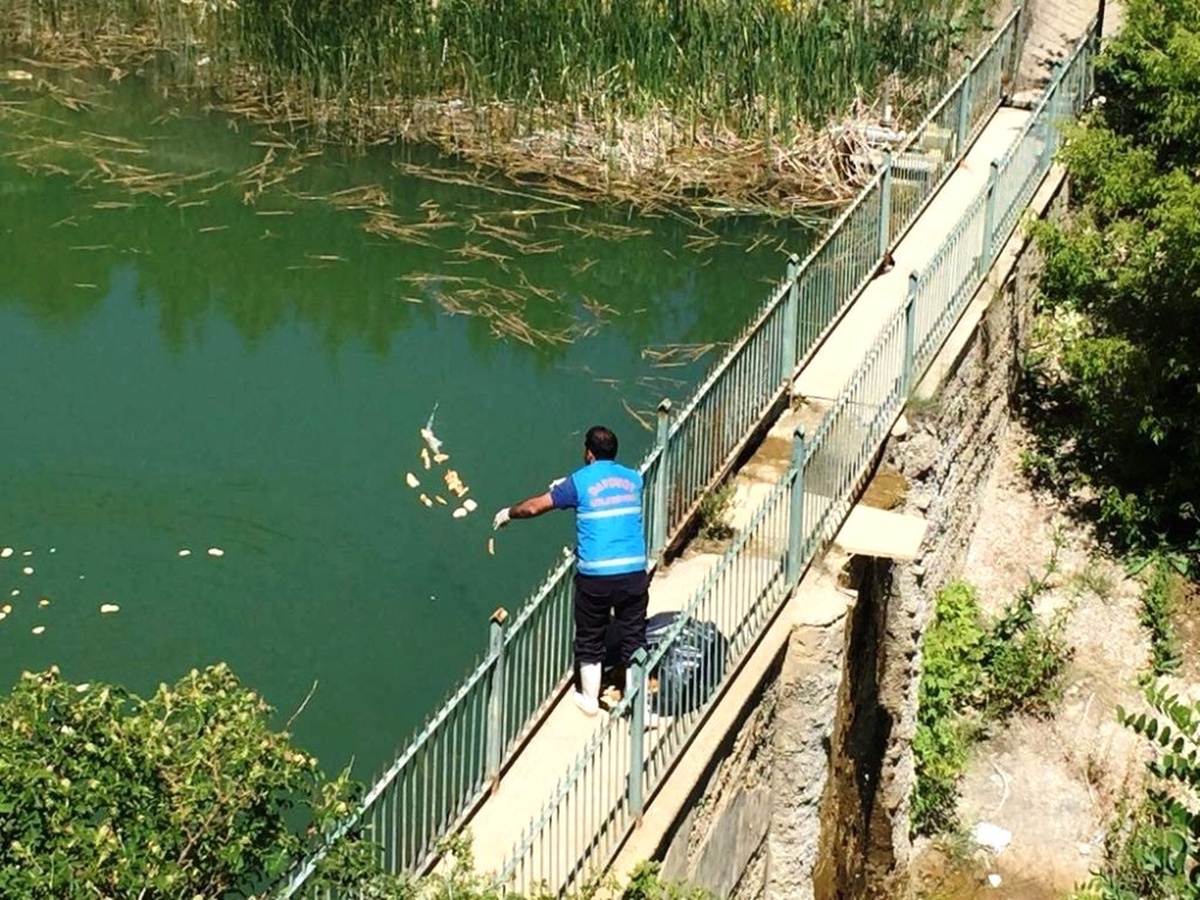Sokak Hayvanları ve Yaban Hayatı Unutulmadı