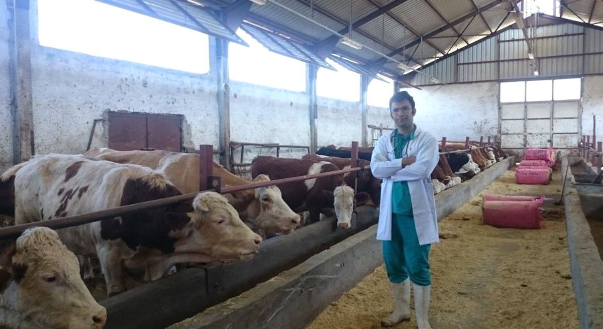 Veteriner Hekim Saydan\'ın Milli Hayvancılıkla İlgili Araştırması