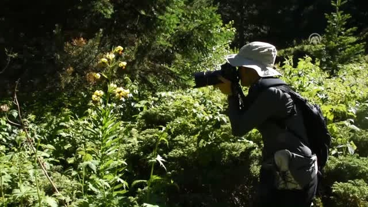 1. Milli Parklar Ulusal Fotoğraf Kampı" Sona Erdi