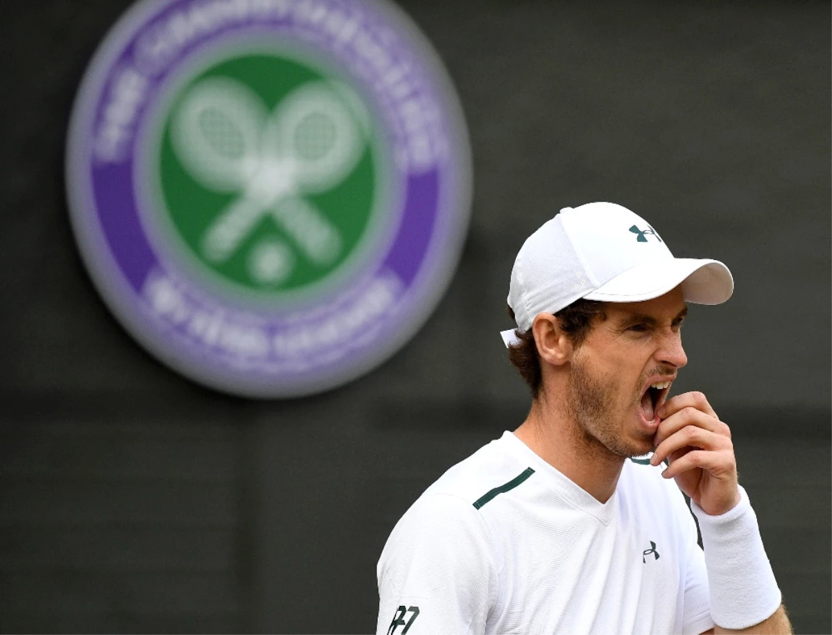 Andy Murray, Wimbledon\'a Veda Etti