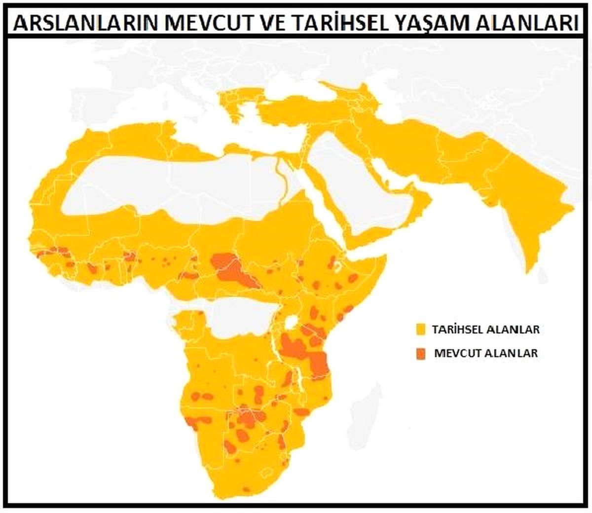 Bilimadamları: Dünya Altıncı Kitlesel Yok Oluşa Doğru İlerliyor