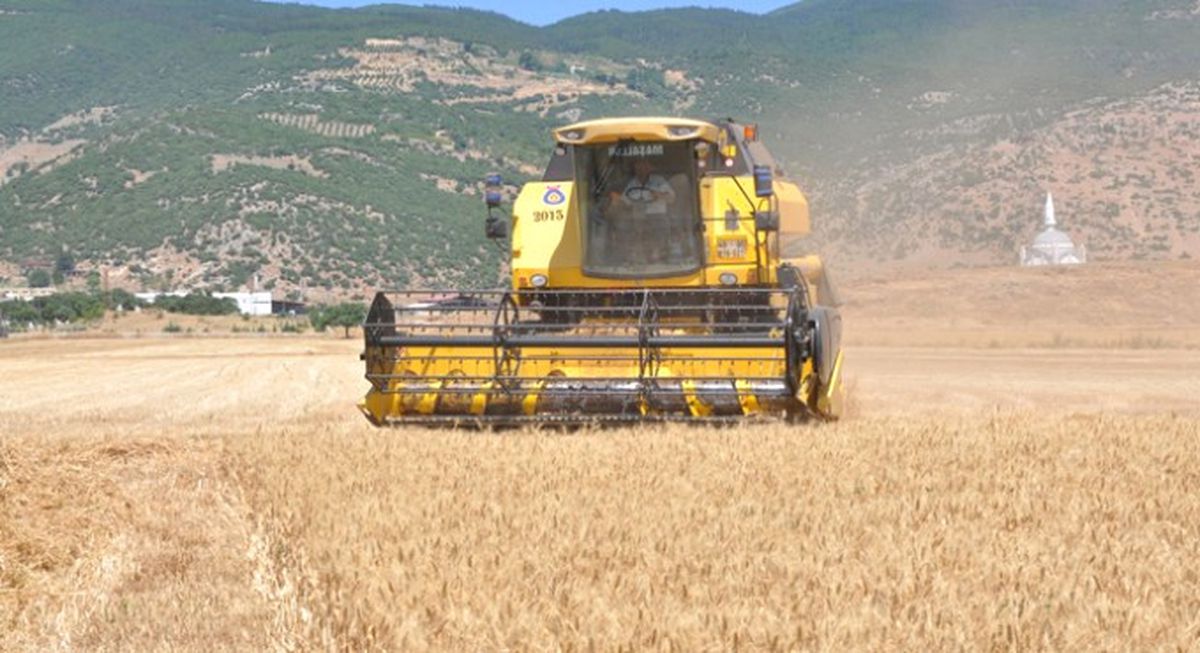 Buğday Alım Fiyatı Açıklandı