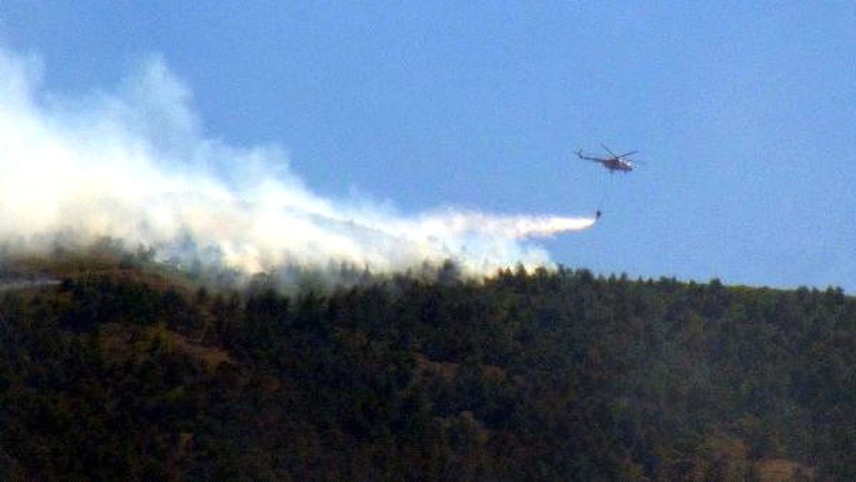 Hatay\'da Orman Yangını Çıktı (2)