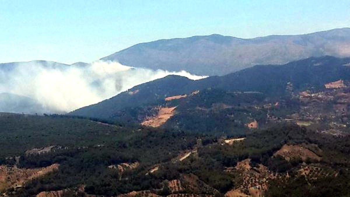 Hatay\'da Orman Yangını Çıktı