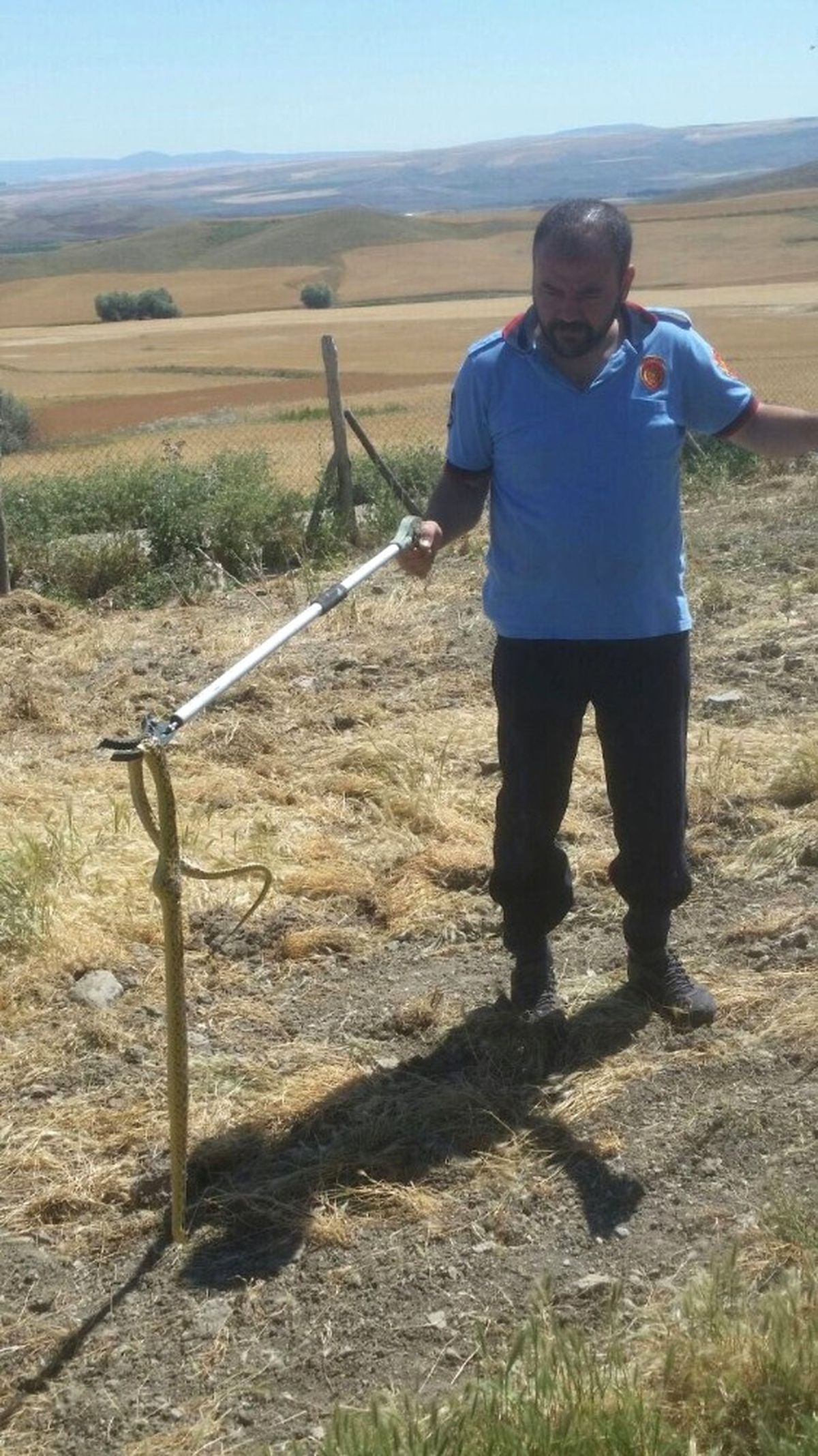 Kümesteki Davetsiz Misafir İtfaiyeyi Alarma Geçirdi