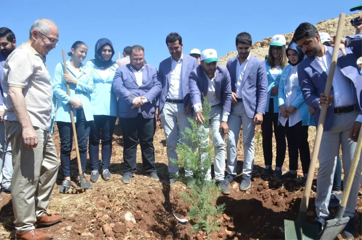 Mardin\'de 15 Temmuz Şehitleri İçin Fidan Dikildi