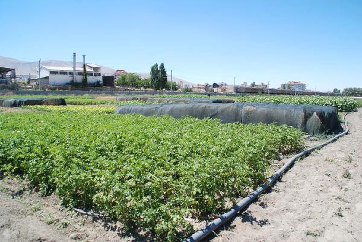 Niğde\'de, \'Ekim Nöbeti\' Sistemi Geliştiriliyor