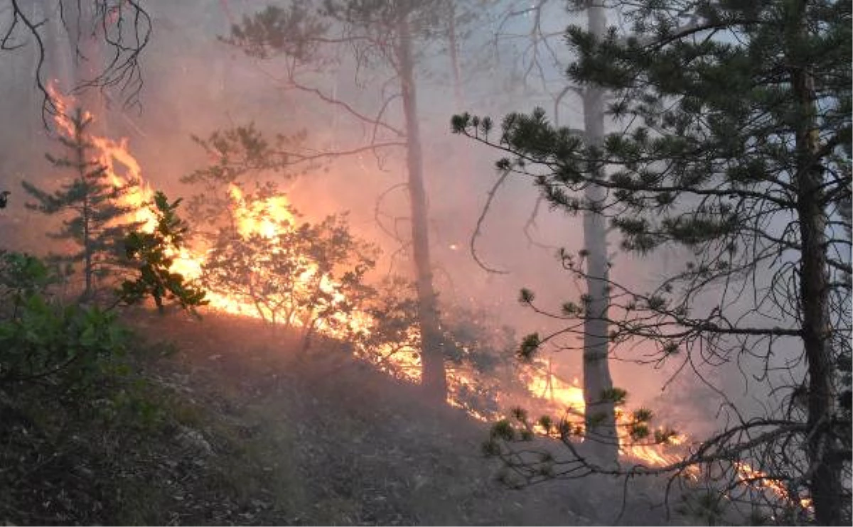 Sivas\'ta 3 Hektar Ormanlık Alan Yandı