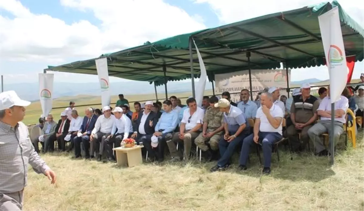 Tarım İl Müdürü Akar: "Geleceğimiz İçin Meraları Koruyoruz"