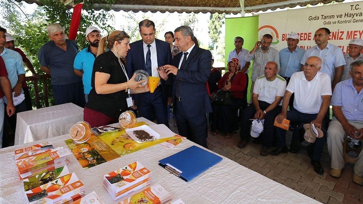 Üreticilere Akdeniz Meyve Sineğine Karşı Tuzak Dağıtıldı