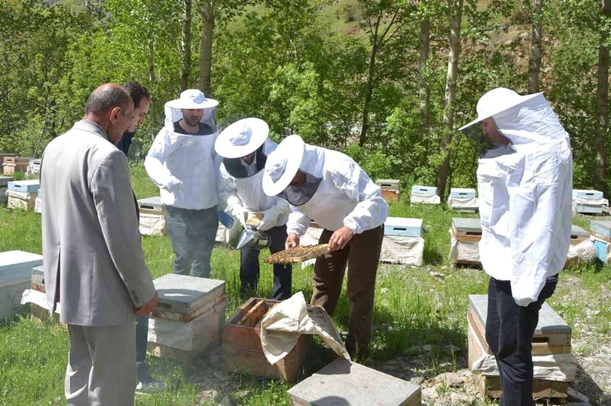 Van\'da, Arıcılık Desteği