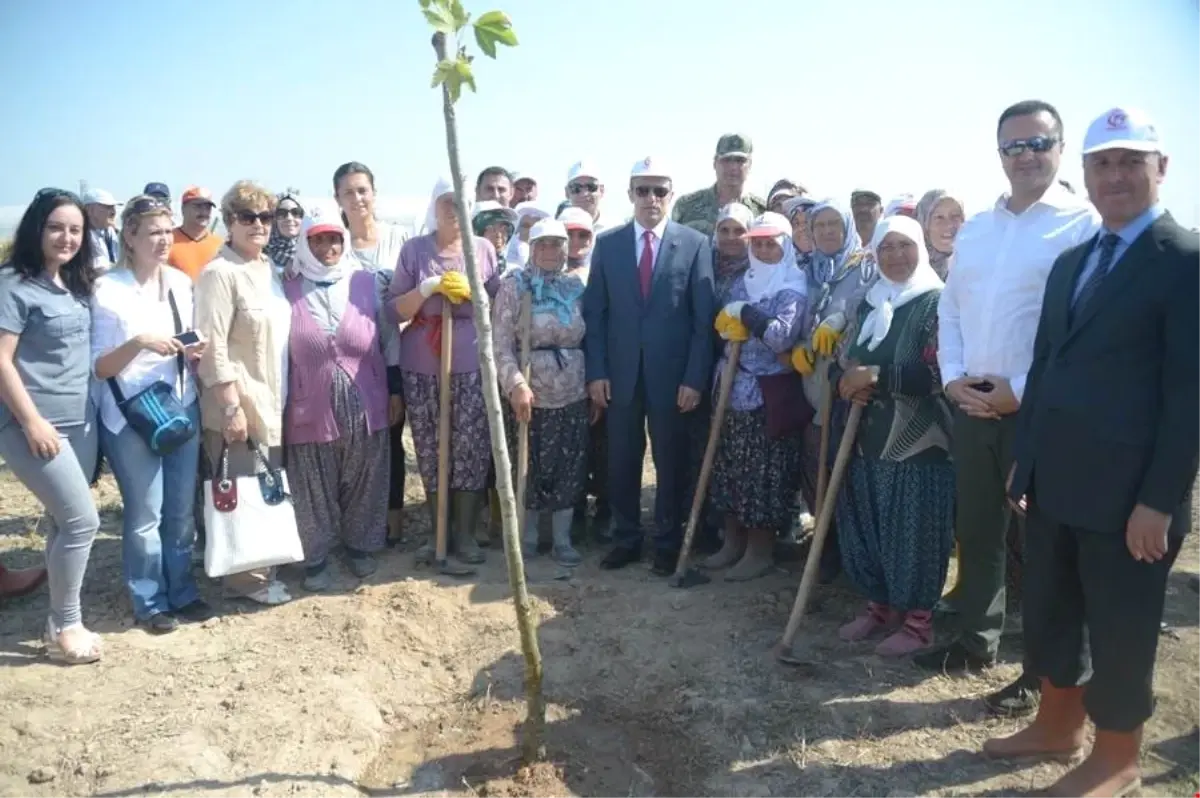 250 Fidan, 15 Temmuz Şehitlerinin Anısına Toprakla Buluştu