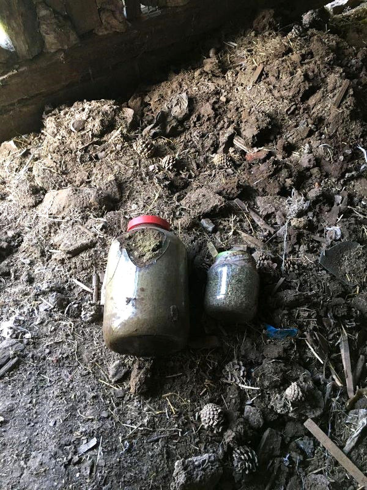 4 İlde Uyuşturucu Operasyonu: 6 Gözaltı