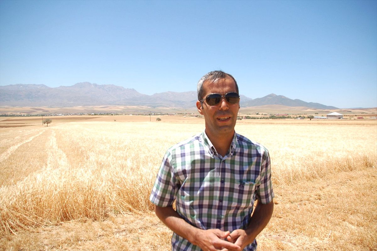 Afşin\'de Tahıl Hasadı Başladı
