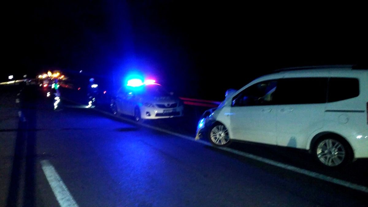 Başıboş Camız Sürüsü Kazaya Neden Oldu