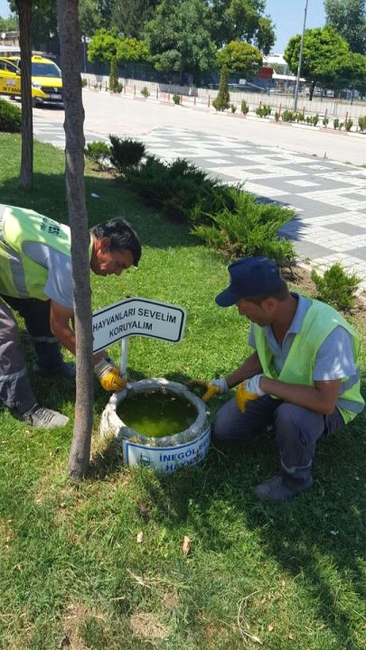 Her Şey Can Dostlarımız İçin