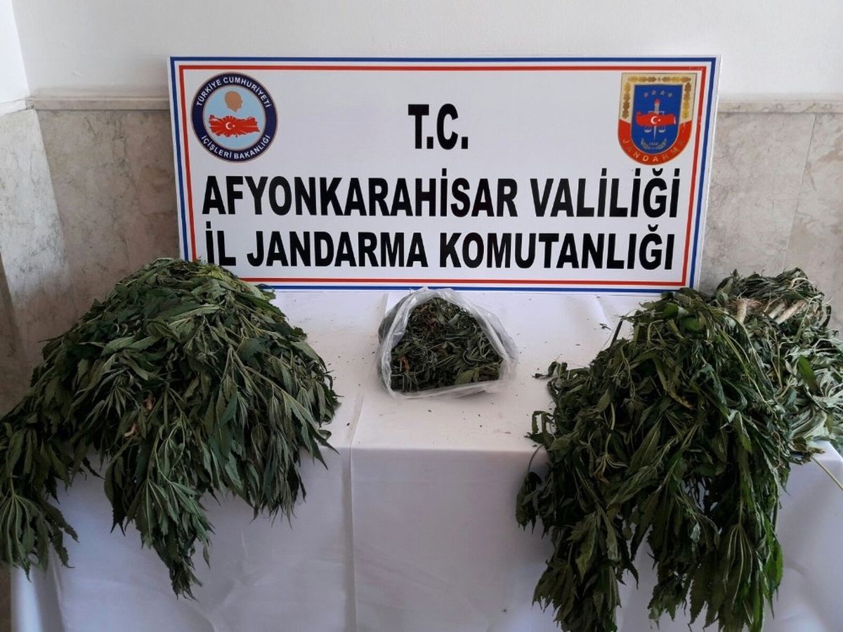 Jandarma 193 Kök Kenevir ile 304 Gram Kubar Esrar Ele Geçirdi