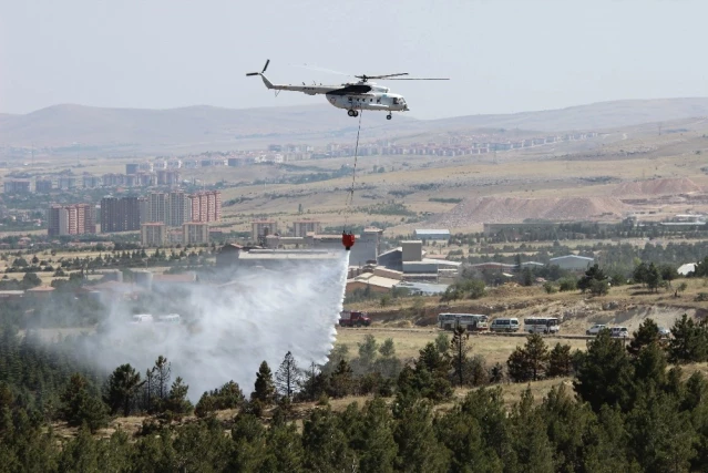 Konya'da Ormanlık Alandaki Yangın Kontrol Altına Alındı ...