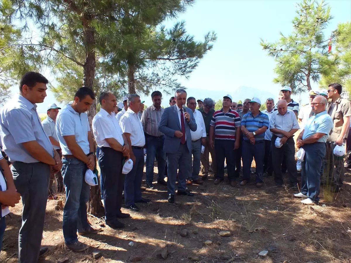 15 Temmuz Demokrasi ve Milli Birlik Günü