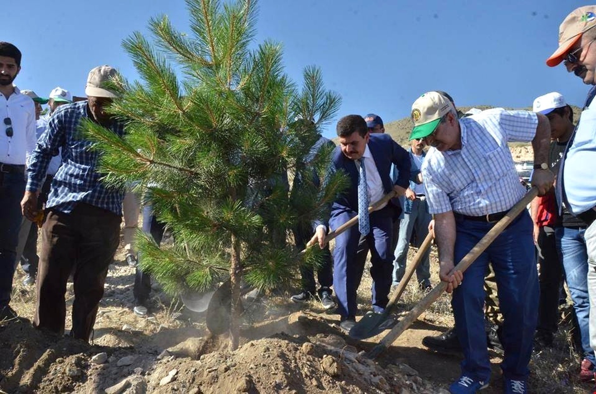 249 Demokrasi Şehidi Anısına 249 Adet Fidan Toprakla Buluştu