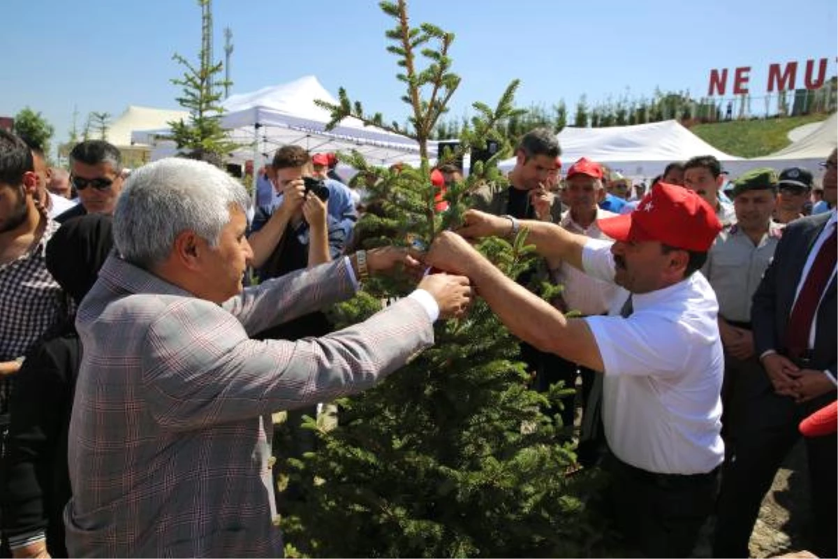 249 Şehidin Künyesi Ağaçlara Asıldı