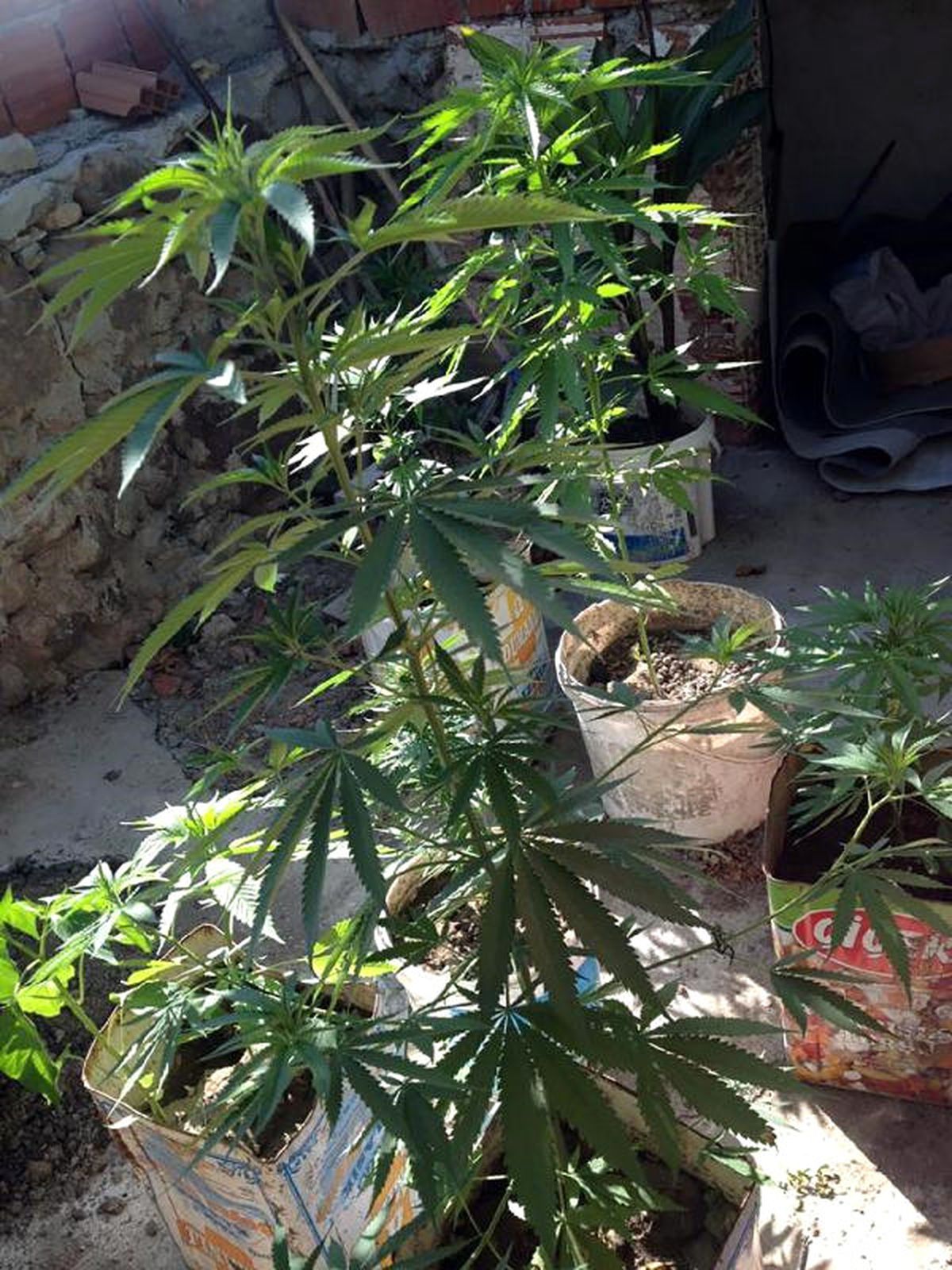 Aliağa\'da Uyuşturucu Operasyonu: 2 Gözaltı