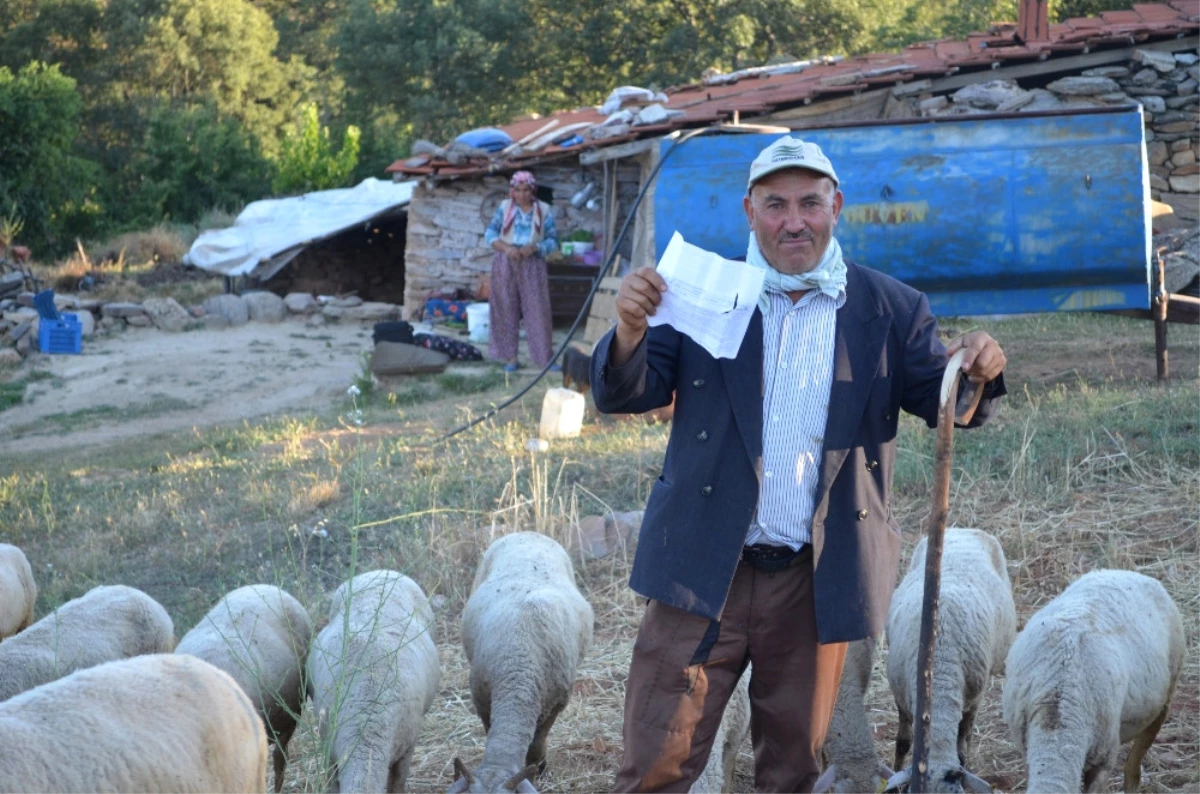 Geçmediği Köprüden Ceza Geldi