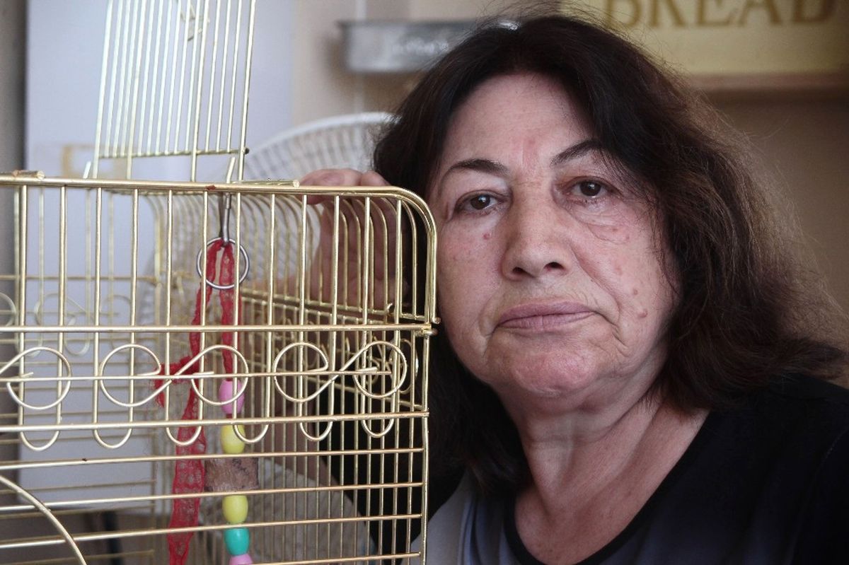 Evladı Gördüğü Papağanı Kayboldu: Getirenin Elini Ayağını Öpeceğim