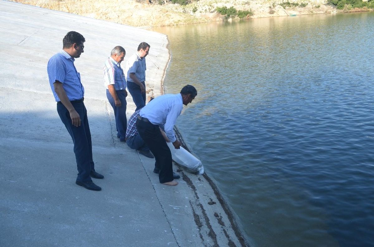 Kula\'da Gölete 5 Bin Balık Bırakıldı