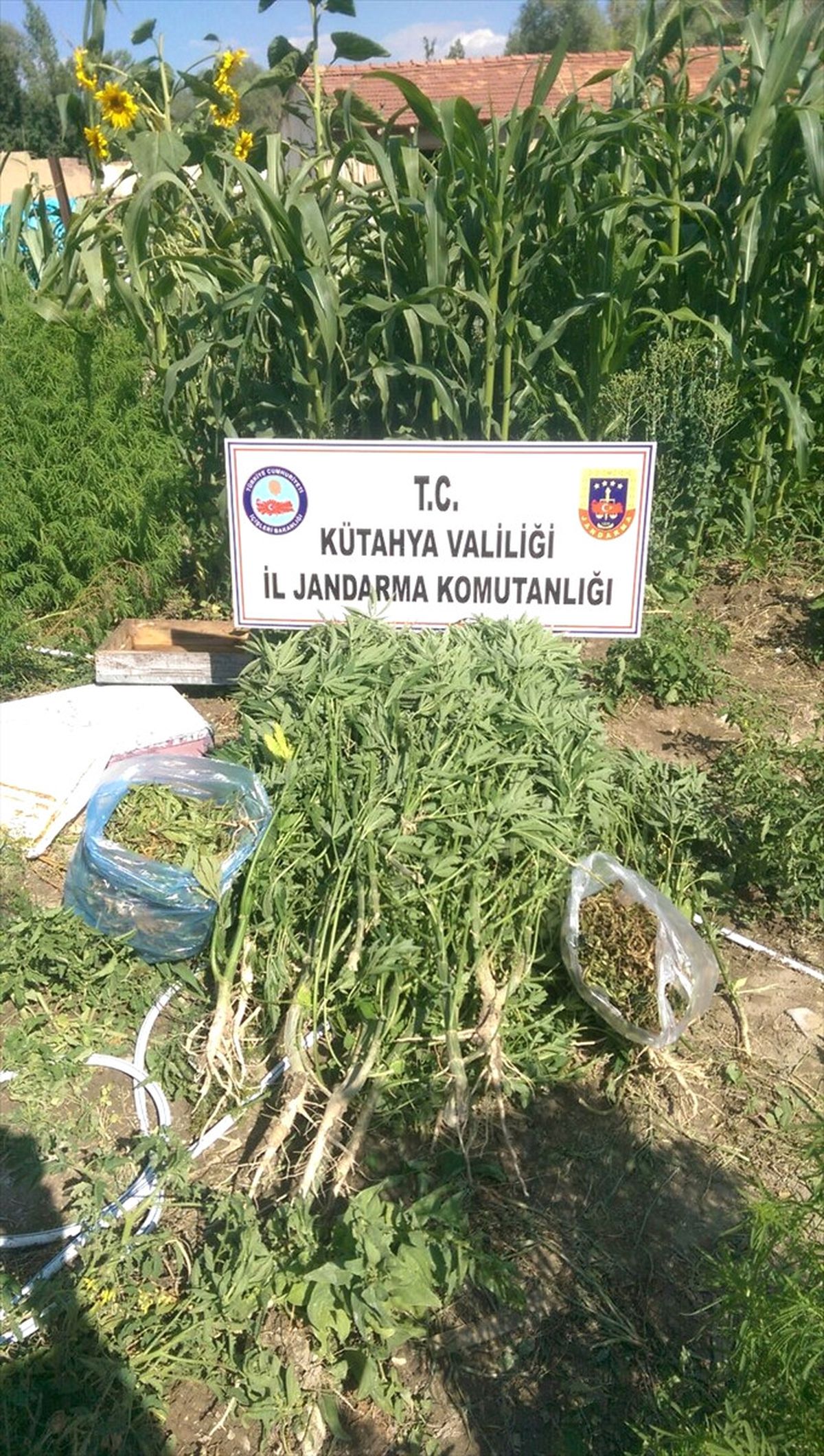 Kütahya\'da Uyuşturucu Operasyonu