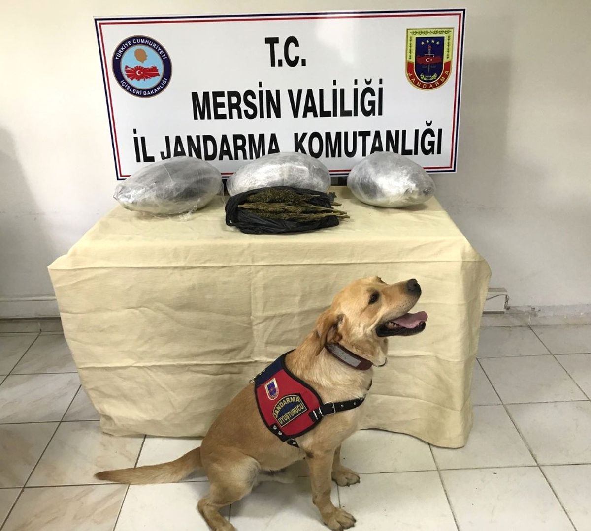 Mersin\'de Uyuşturucu Operasyonu