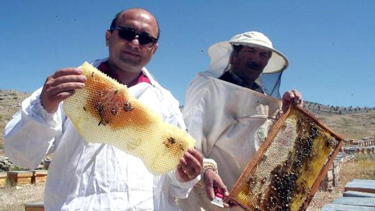 Mersin\'in Ödüllü Balı Katar Yolcusu