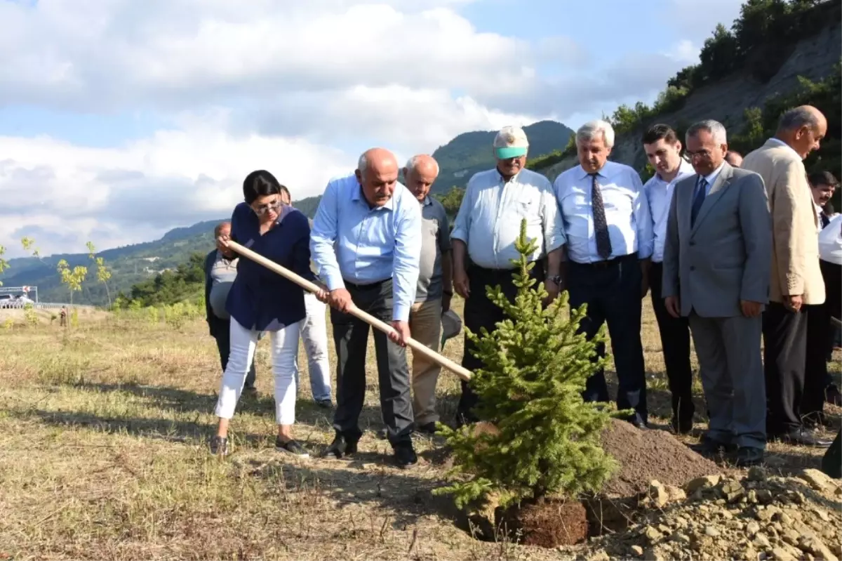 Şehit Ömercan Açıkgöz Hatıra Ormanı Açıldı