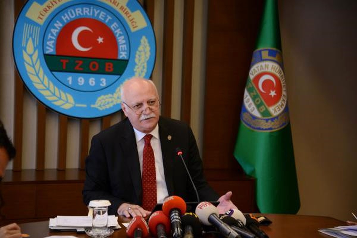 Tzob: Tavuk ve Yumurtada İhracat Artışına Rağmen Üretici Zarar Etti