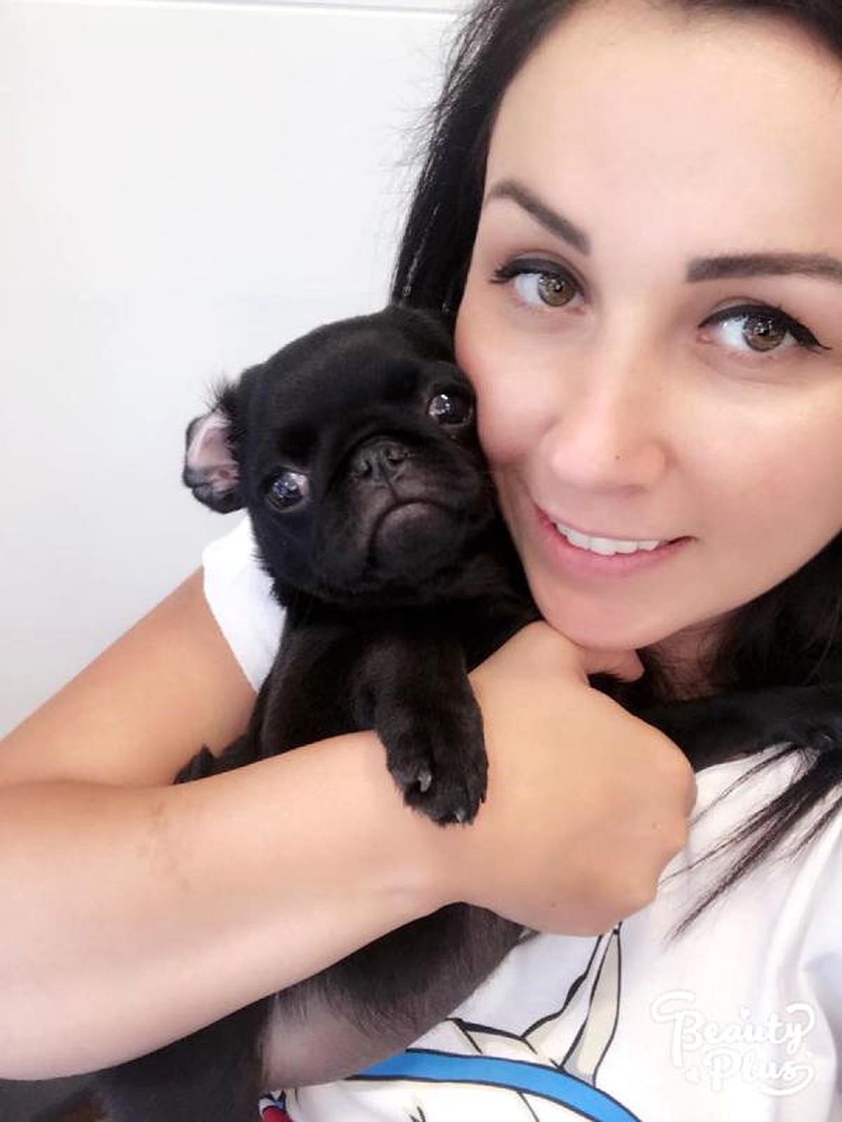 Deniz Otobüsünden Düşen 3 Aylık Beylis Adlı Köpek Telef Oldu