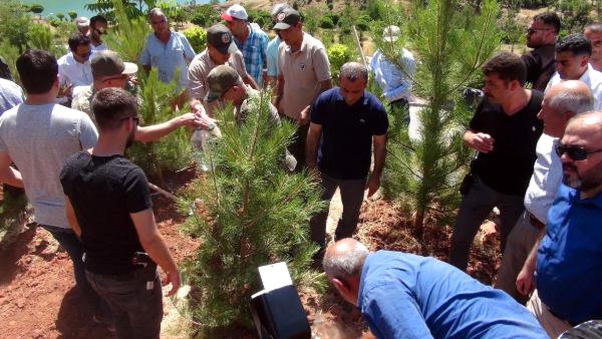 Tunceli\'de 15 Temmuz Şehitleri Anısına Fidan Dikildi