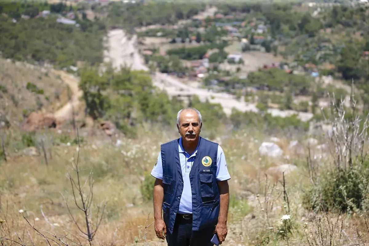 Yangınlarla Topyekun Mücadele Ediyoruz"