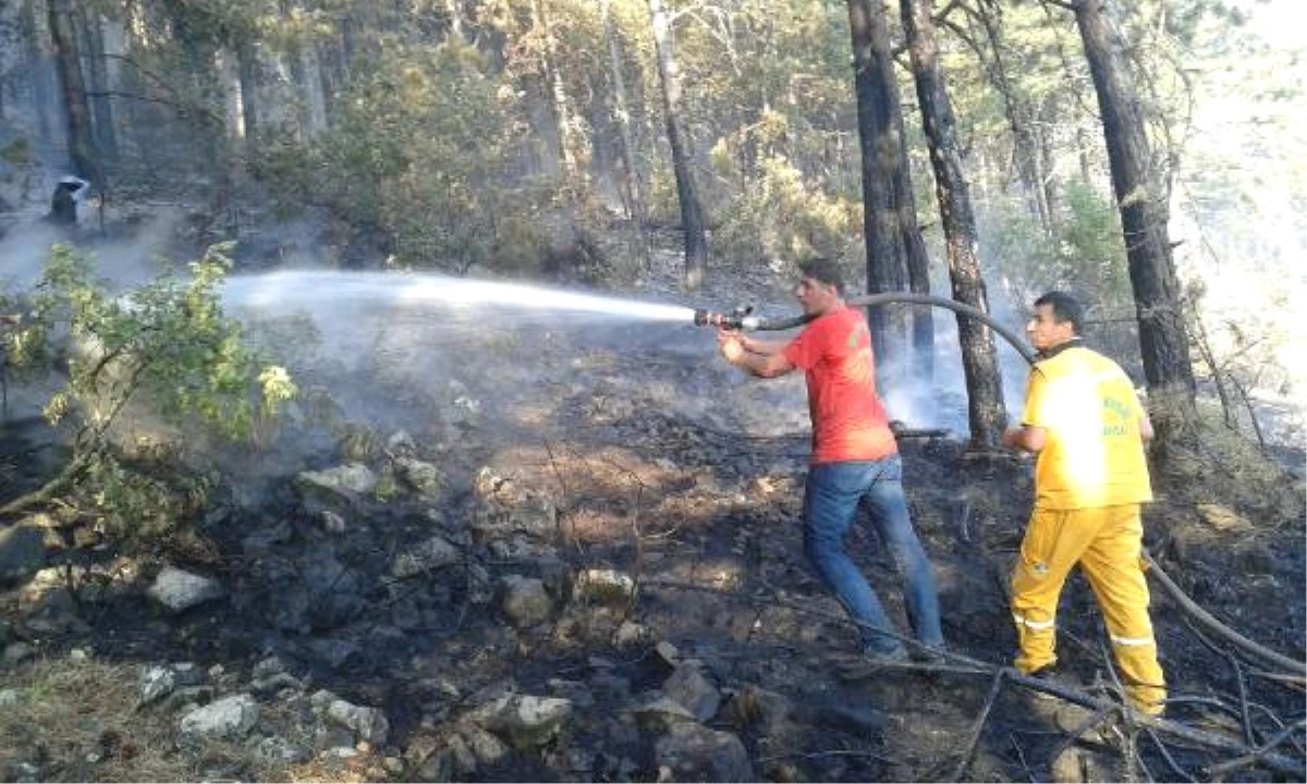 Bursa\'nın Orhaneli İlçesinde 5 Hektar Ormanlık Alan Yandı
