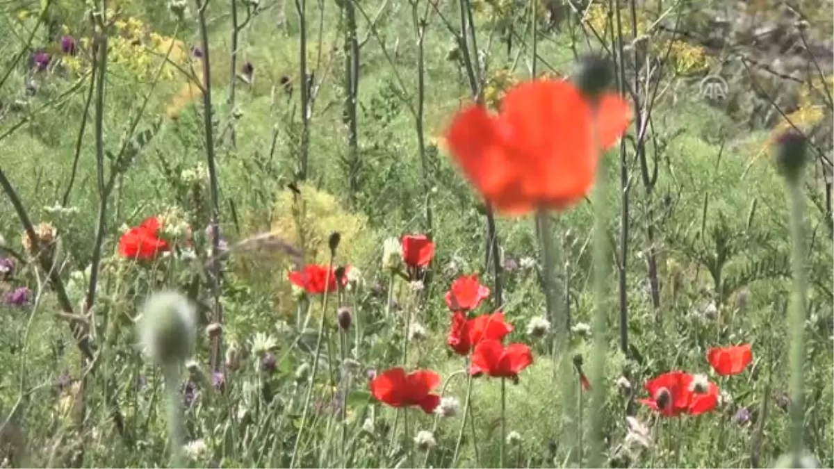 Sıcak Hava Arıcıları da Vurdu