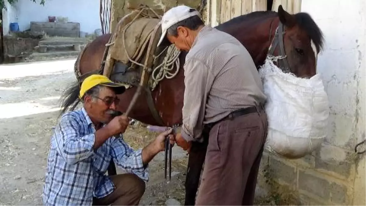 Bayramiç\'in Son Nalbantı