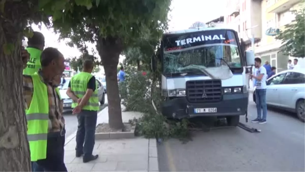 Freni Patlayan Minibüs Ağacı Yıktı