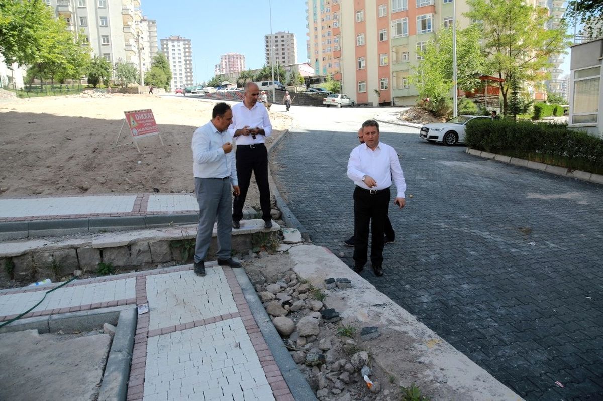 Talas Anayurt\'ta Peyzaj Çalışması
