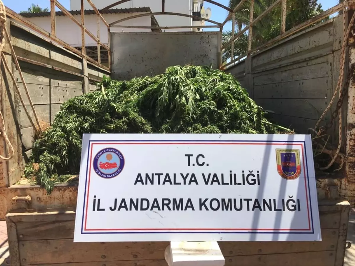 Antalya\'da Uyuşturucu Operasyonu