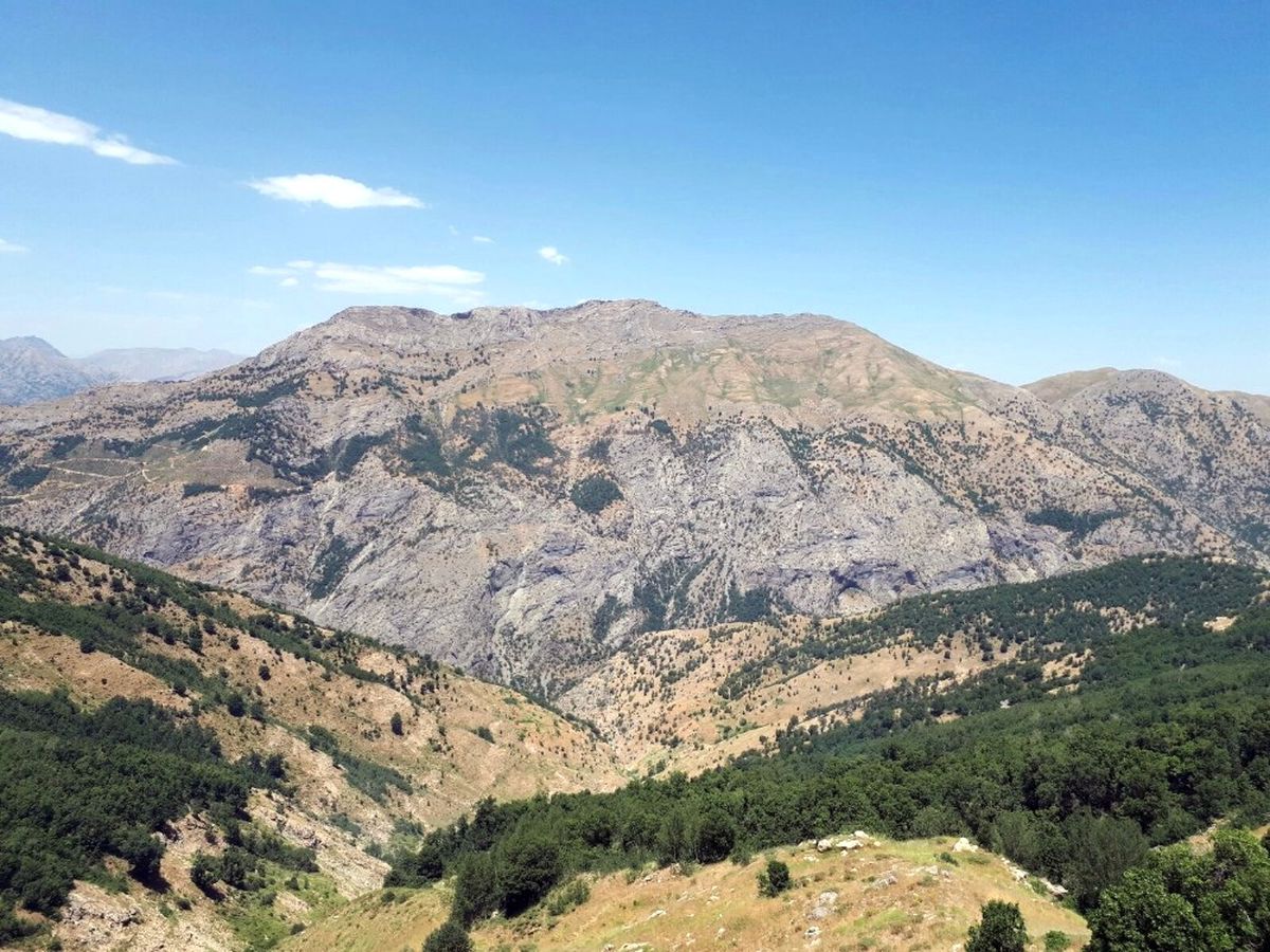 Bitlis\'te \'Yeşil\' Listedeki Terörist Öldürüldü