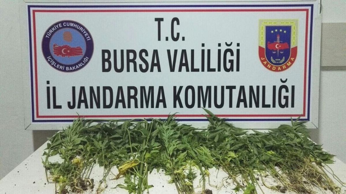 Bursa\'da Uyuşturucu Operasyonu