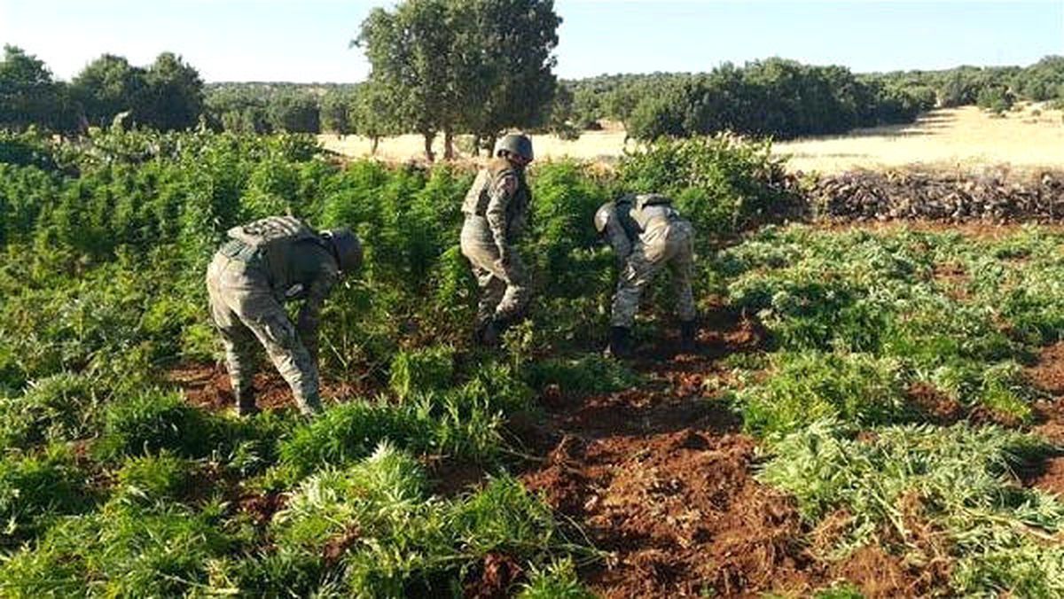 Diyarbakır\'da 402 Kilo Esrar Ele Geçirildi