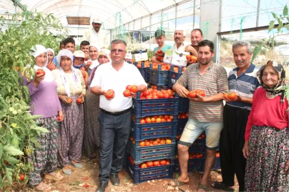 Domates Üreticilerinden Canan Karatay\'a Tepki