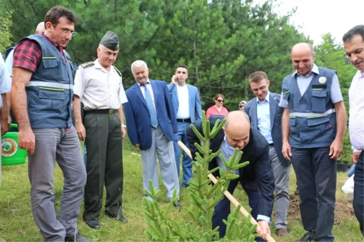 Düzce\'de 15 Temmuz Demokrasi Şehitleri Adına Hatıra Ormanı Kuruldu