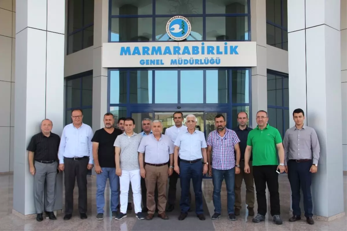 Ezzib\'den Marmarabirlik\'le \'Ortak Hareket\' Vurgusu